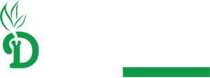 Dhirendra Group